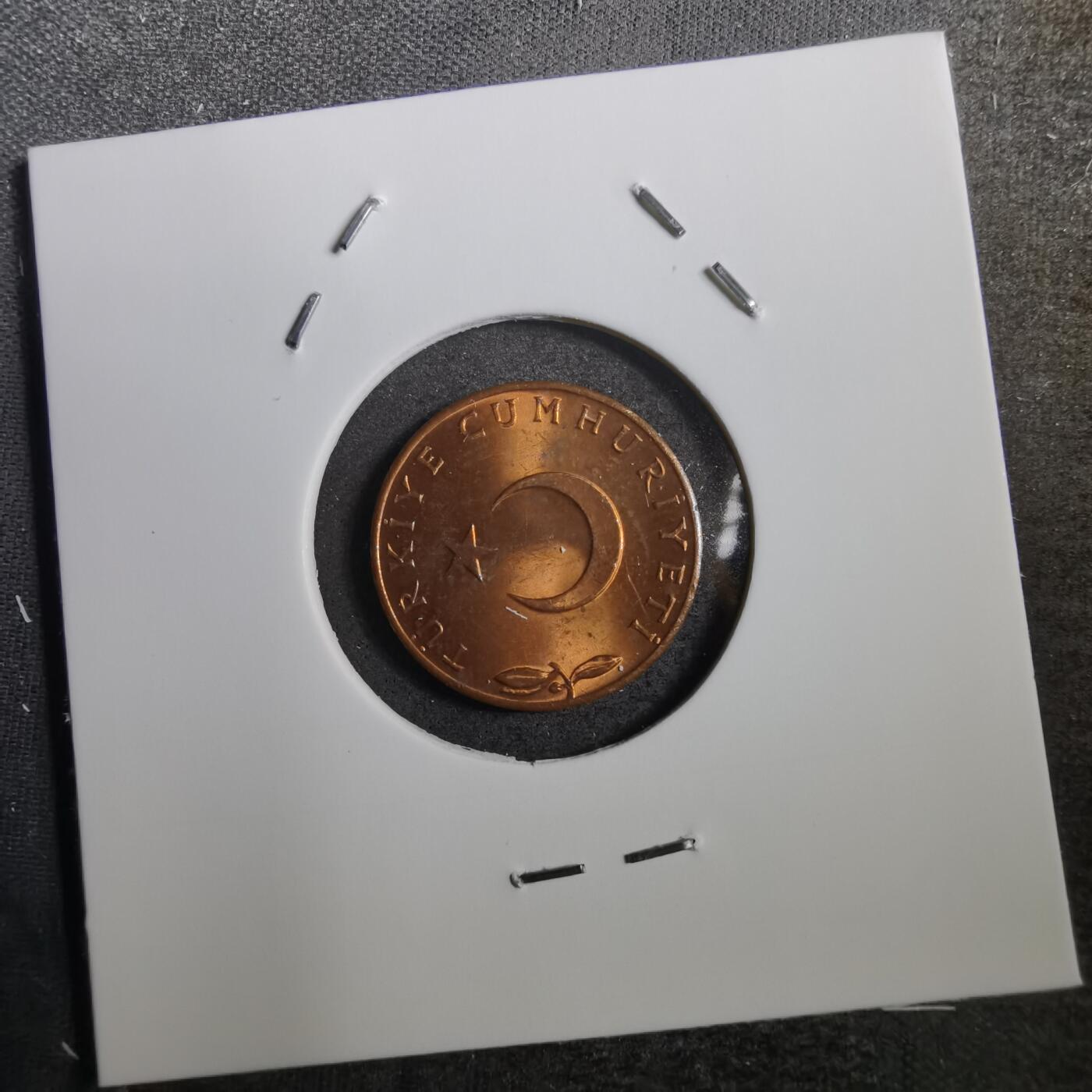 沼泽如烟--第760场