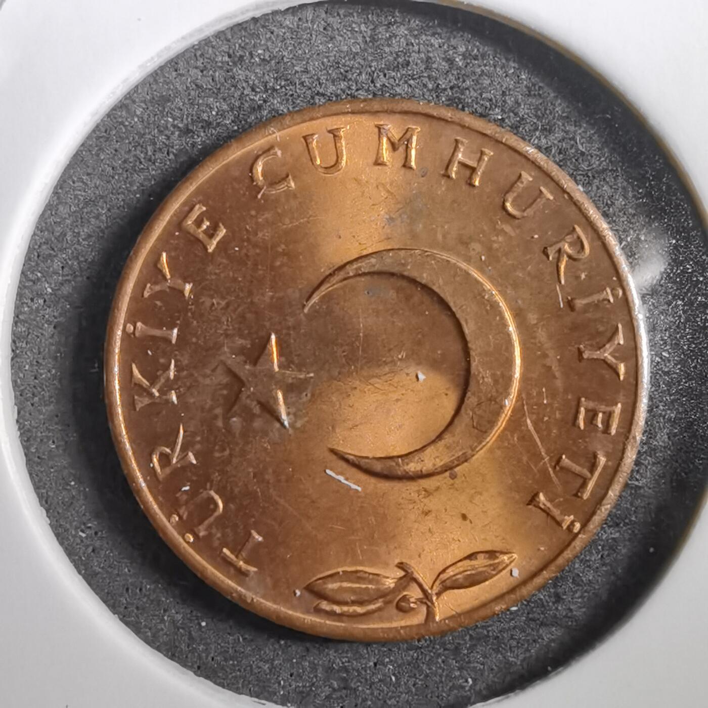 沼泽如烟--第760场