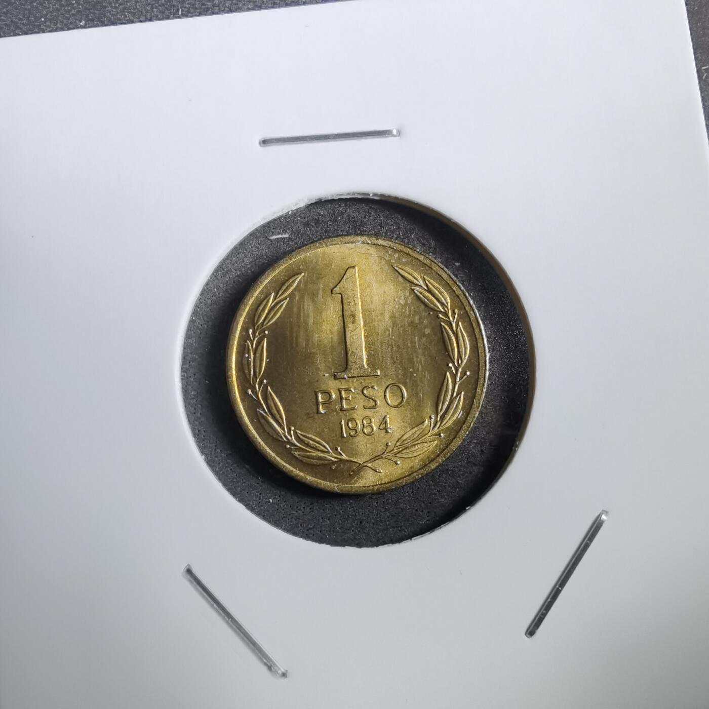 沼泽如烟--第760场