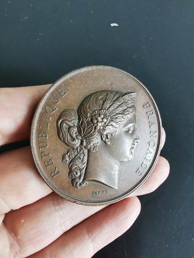 老王徽章第130期 - 法国1878世博会动物繁育竞赛大铜章    直径50mm  重量65.2g   蜜蜂Cuivre边铭