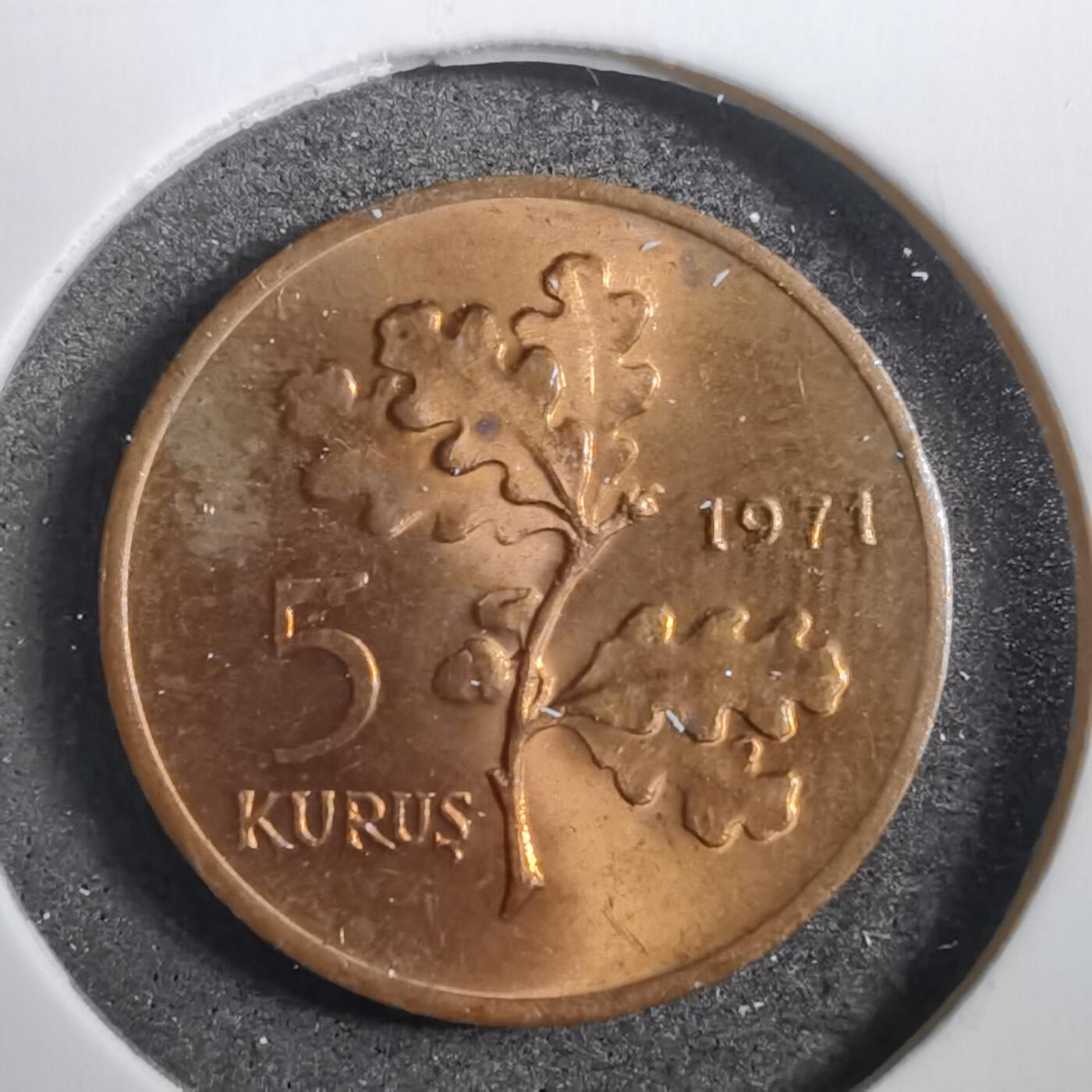 沼泽如烟--第760场