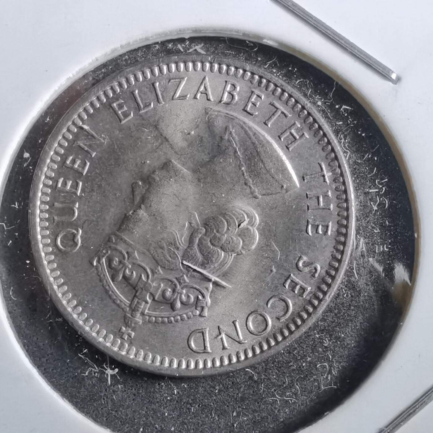 沼泽如烟--第760场