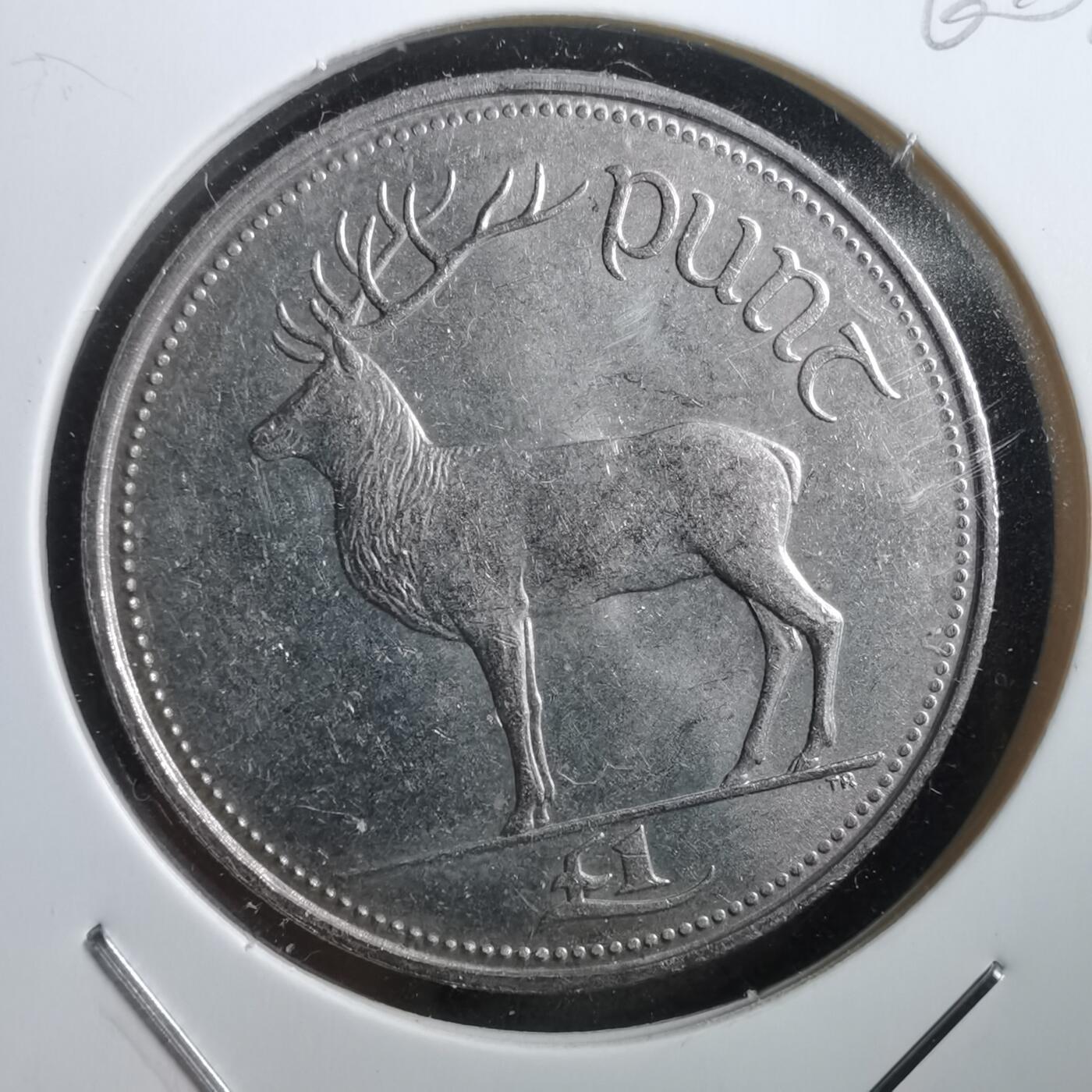 沼泽如烟--第760场