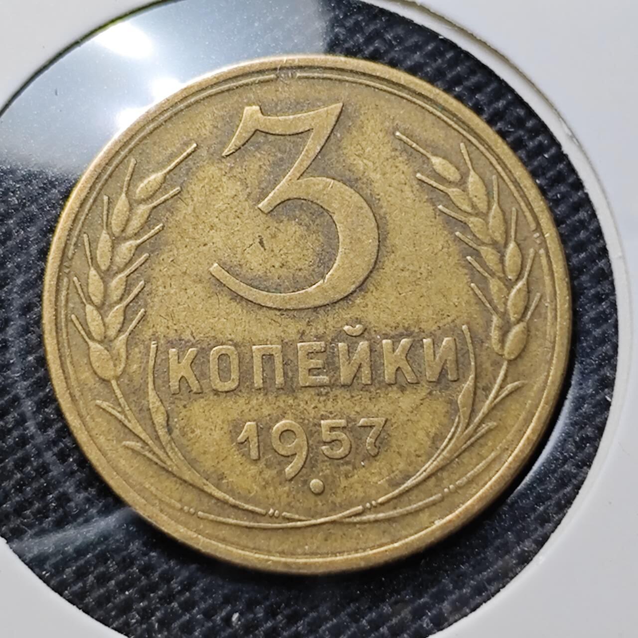 KK钱币收藏小铺 第303期 2月预留时间 周末发货