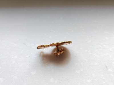 第一期欧陆勋赏小拍 瑞典皇家海军工程徽章