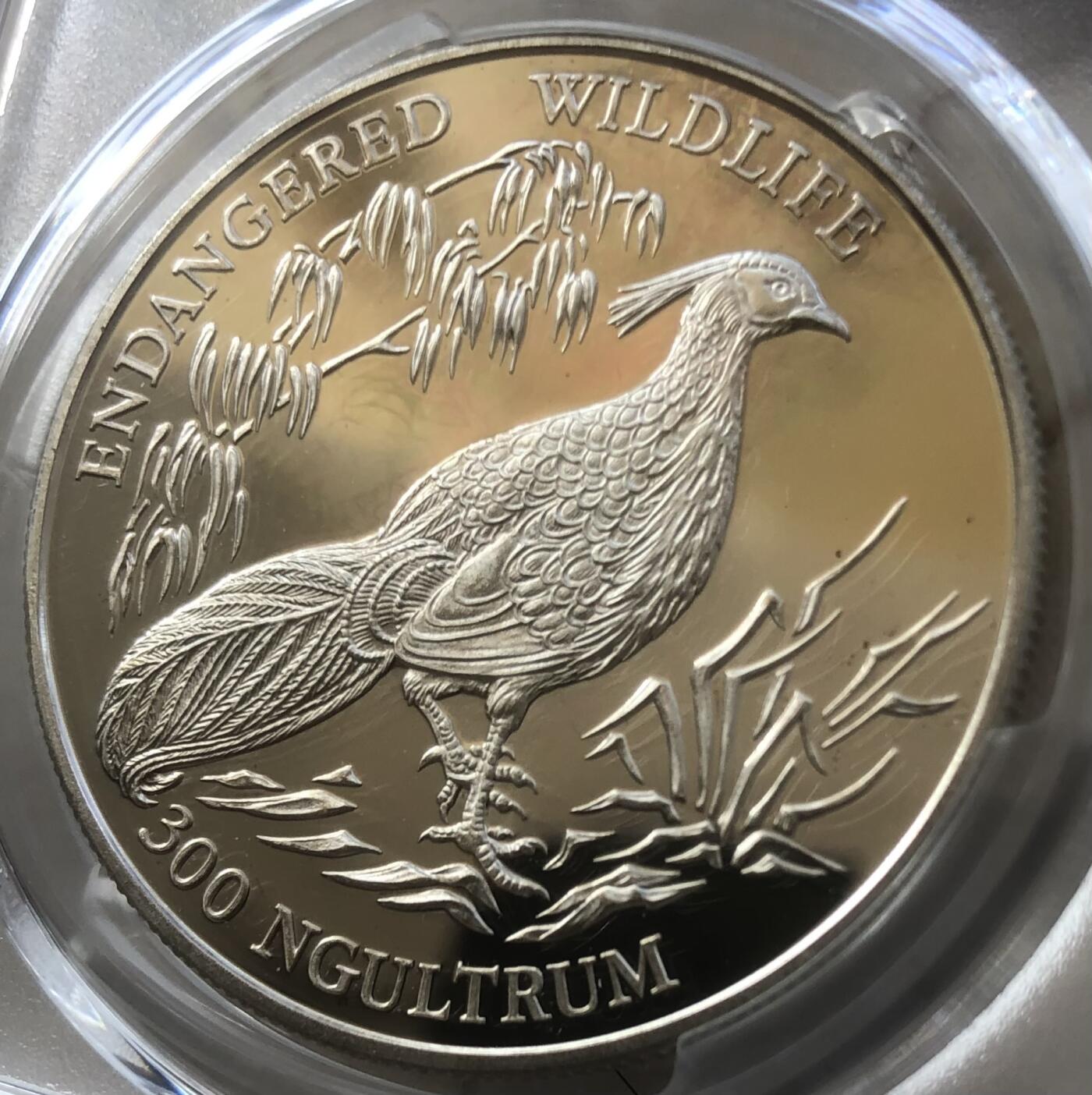 不丹1994年山鸡精制大银冠军分PCGS PR69