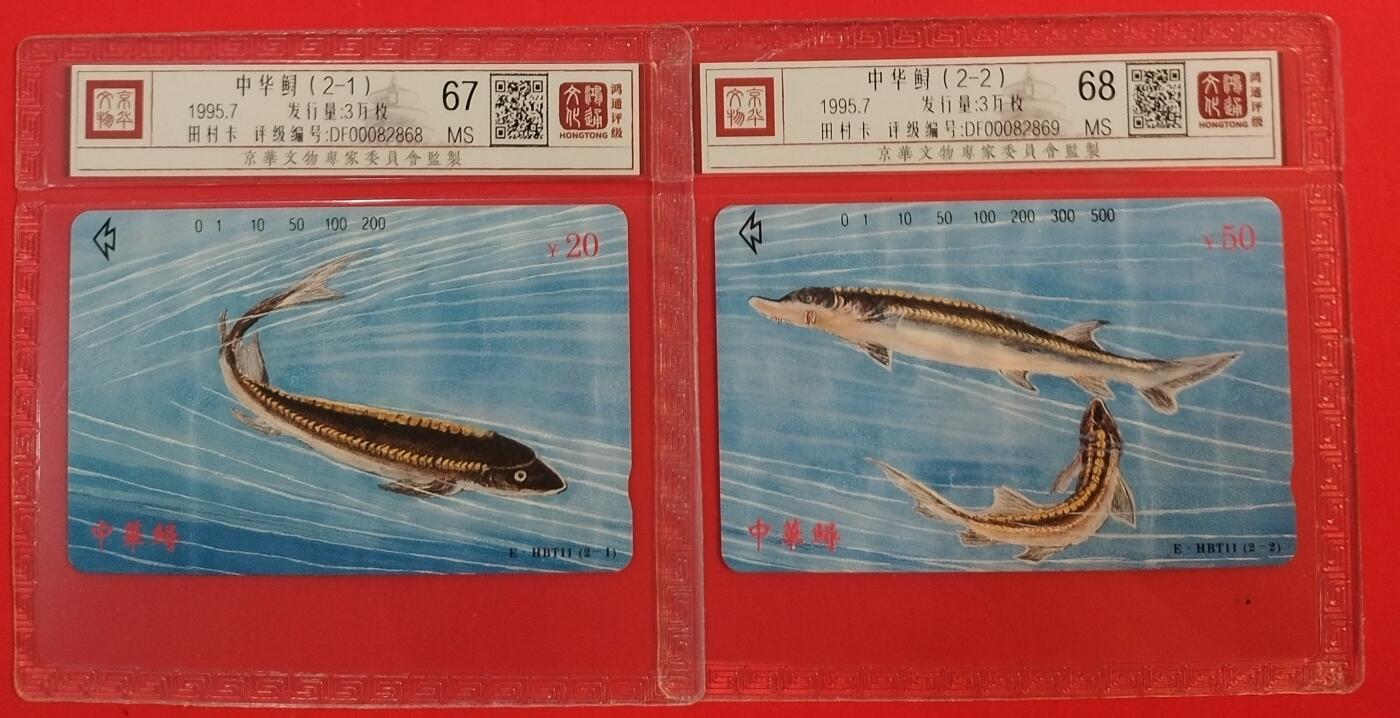 《鸿通俱乐部》拍卖第43期 6月25日21：00延时节拍 湖北田村新卡《中华鲟》2全 鸿通 68分*1  67分*1