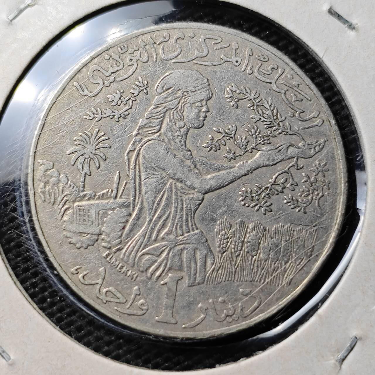 KK钱币收藏小铺 第304期 2月预留时间 周末发货