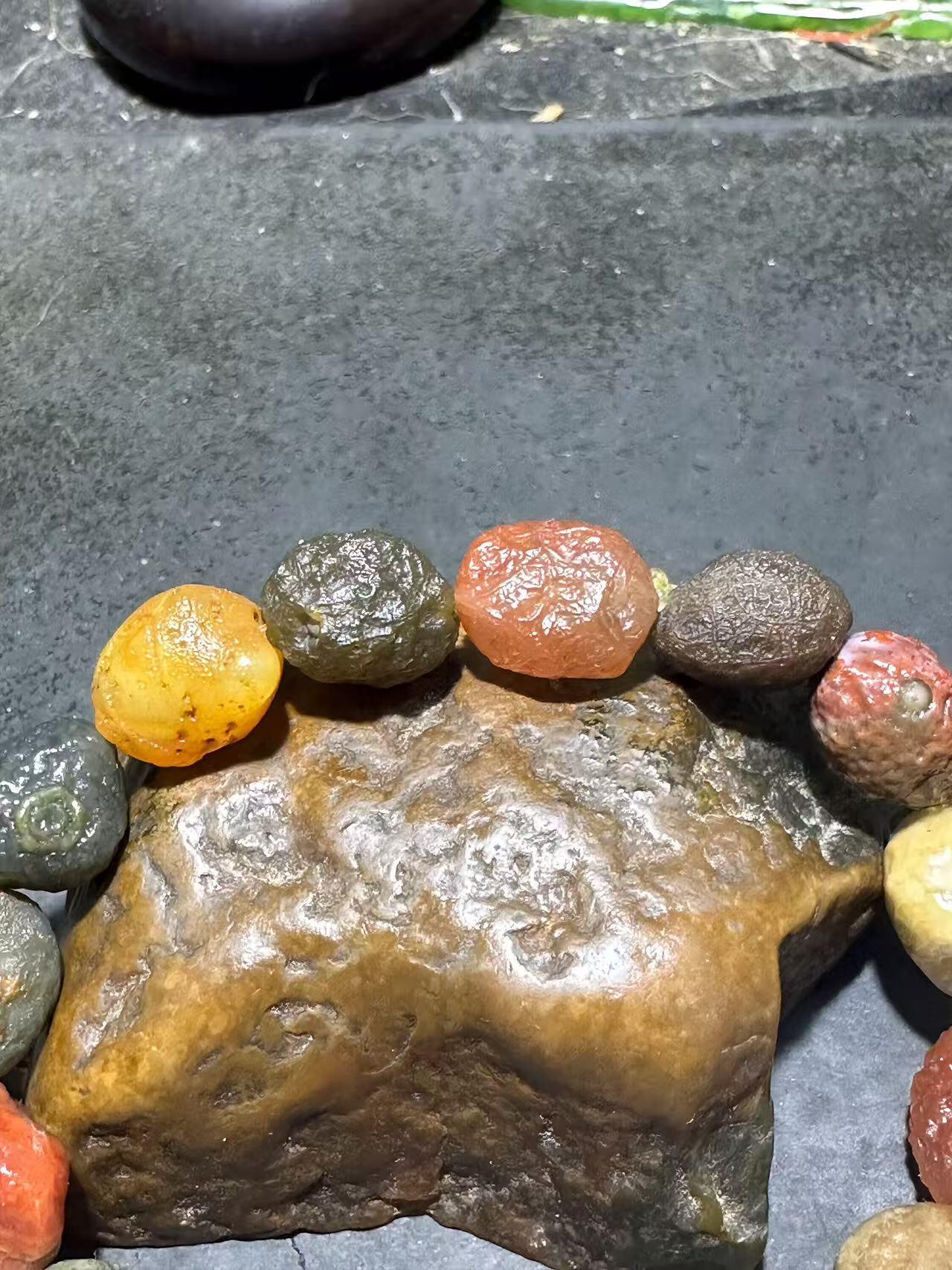 精美阿拉善多宝筋脉石原石手串一条，