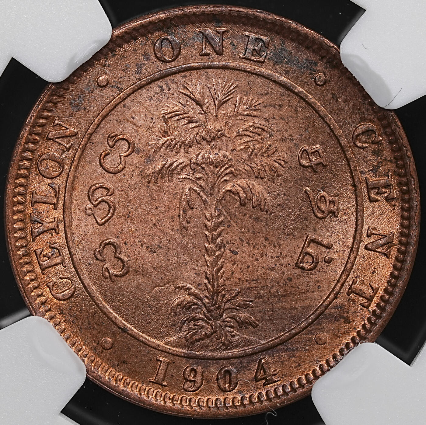修遠堂世界钱币第七十六期 NGC MS65RB 1904年英属锡兰1分铜币