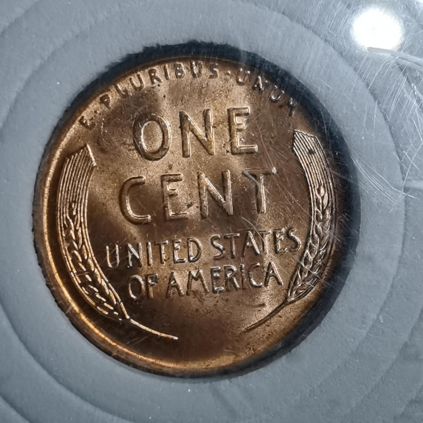 沼泽如烟--第761场