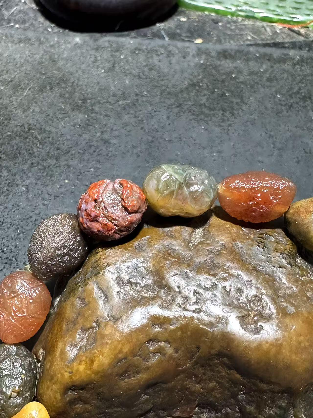 精美阿拉善多宝筋脉石原石手串一条，