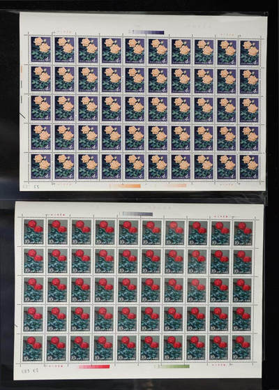 洪涛臻品批发群 精选邮票限时拍卖第1119期  T93月季花新50套版票一版，全品相，评级品相，适合收藏，行情触底开始上涨，注意囤货