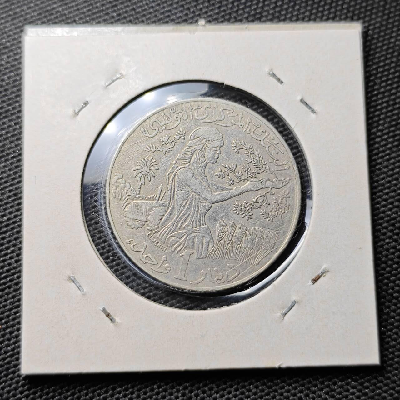 KK钱币收藏小铺 第304期 2月预留时间 周末发货