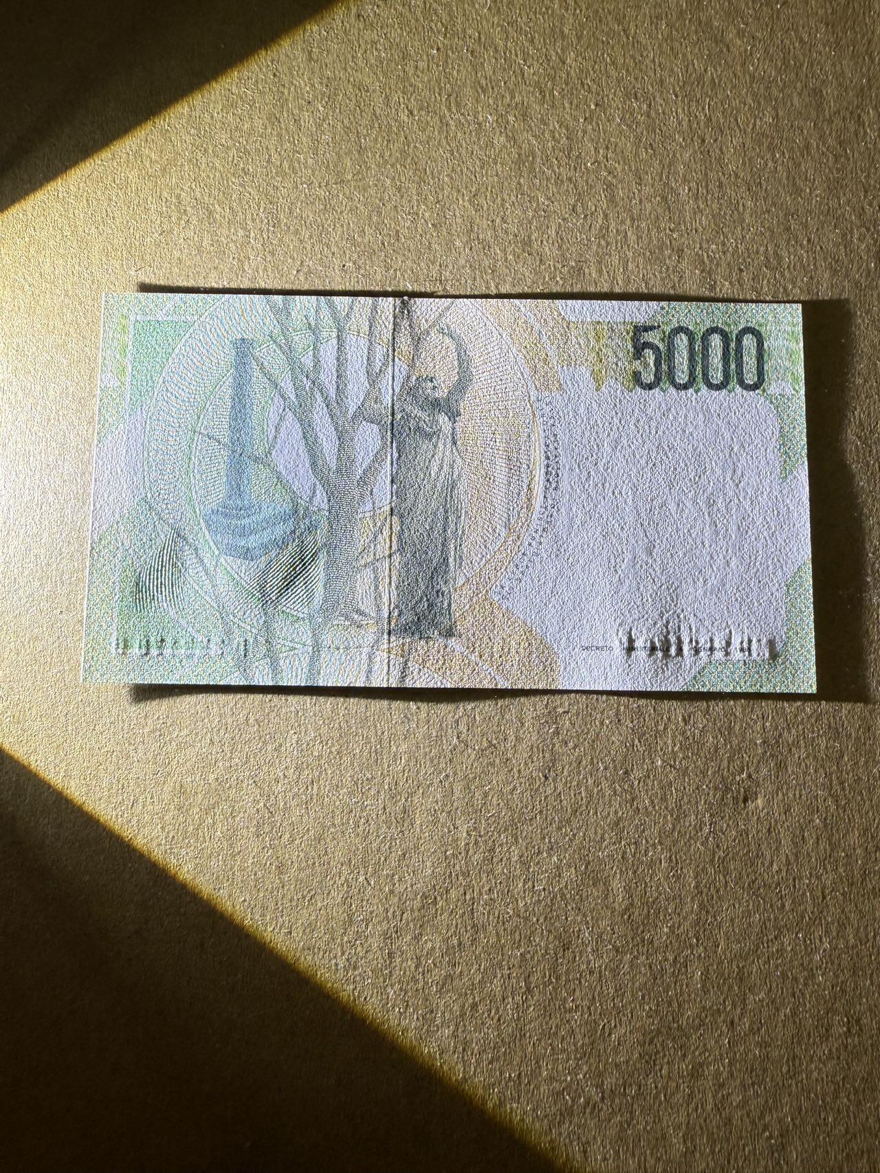 【炜奕收藏】，第三十八期 1985年意大利5000里拉，UNC品相