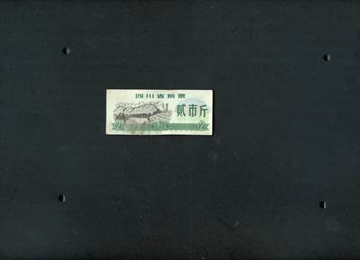 沧河堂006 - 1973年 四川粮票  二斤