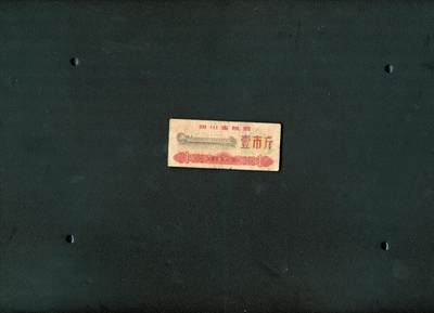 沧河堂006 - 1973年 四川粮票  一斤