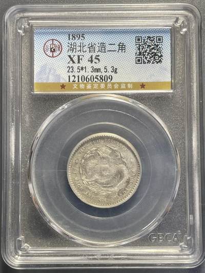 杂币散拍 - 1895年湖北省造光绪元宝二角银币