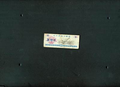 沧河堂006 - 1980年 辽宁粮票  二斤