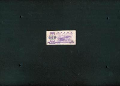 沧河堂006 - 1974年  湖南粮票  五两