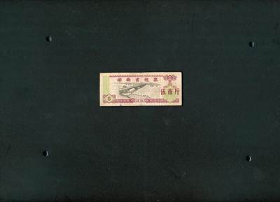 沧河堂006 - 1974年 湖南粮票  五斤