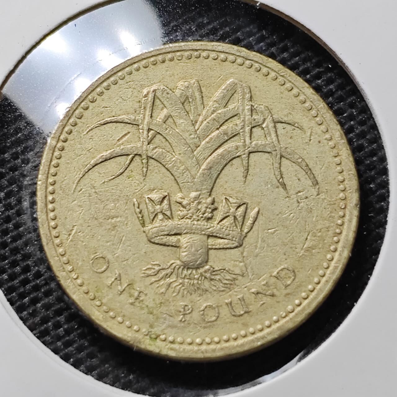 KK钱币收藏小铺 第305期 2月预留时间 周末发货 1985英国1镑