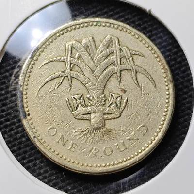 KK钱币收藏小铺 第304期 2月预留时间 周末发货 - 英国1镑