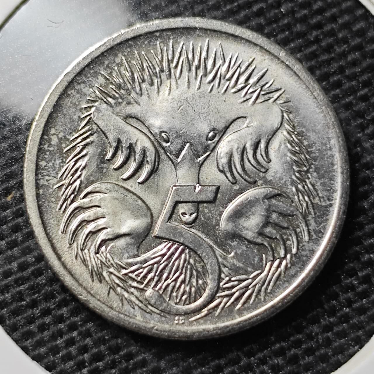 KK钱币收藏小铺 第304期 2月预留时间 周末发货