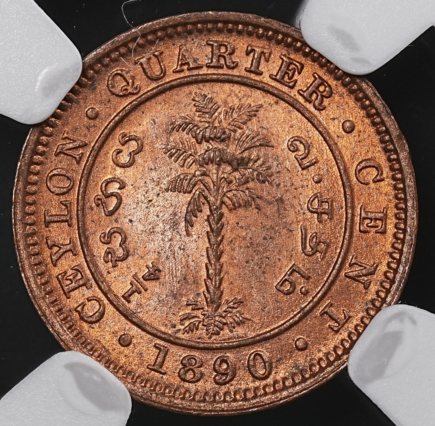 修遠堂世界钱币第七十六期 NGC MS65RB 1890年英属锡兰1/4分铜币