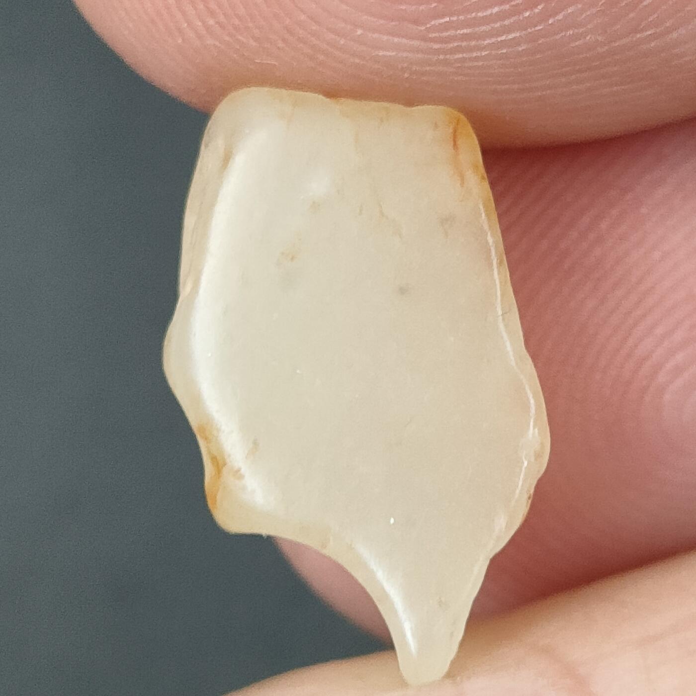 猩哥外币小铺➨【第161场】