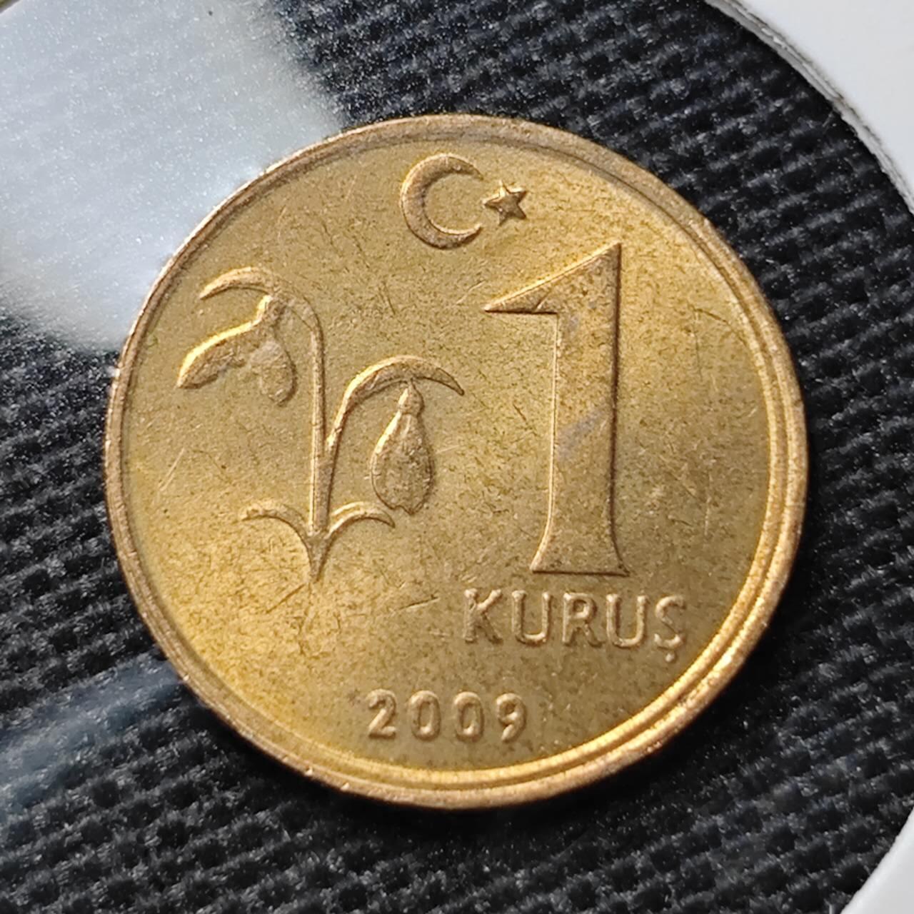 KK钱币收藏小铺 第305期 2月预留时间 周末发货 2009土耳其1库鲁 铜币