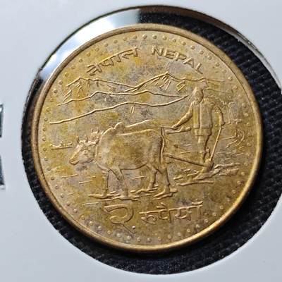 KK钱币收藏小铺 第305期 2月预留时间 周末发货 - 尼泊尔2卢比 
