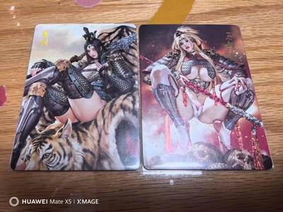 光影卡牌第15期，各家亲签卡，持续收拍品 - 燎原三国姬黑暗王朝关羽马超星光版本