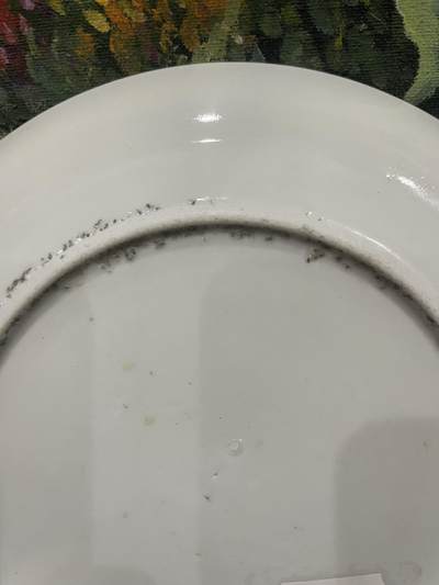 海外回流精品拍卖（五一专场） 法国回流清代广彩盘子（直径：19.8cm）