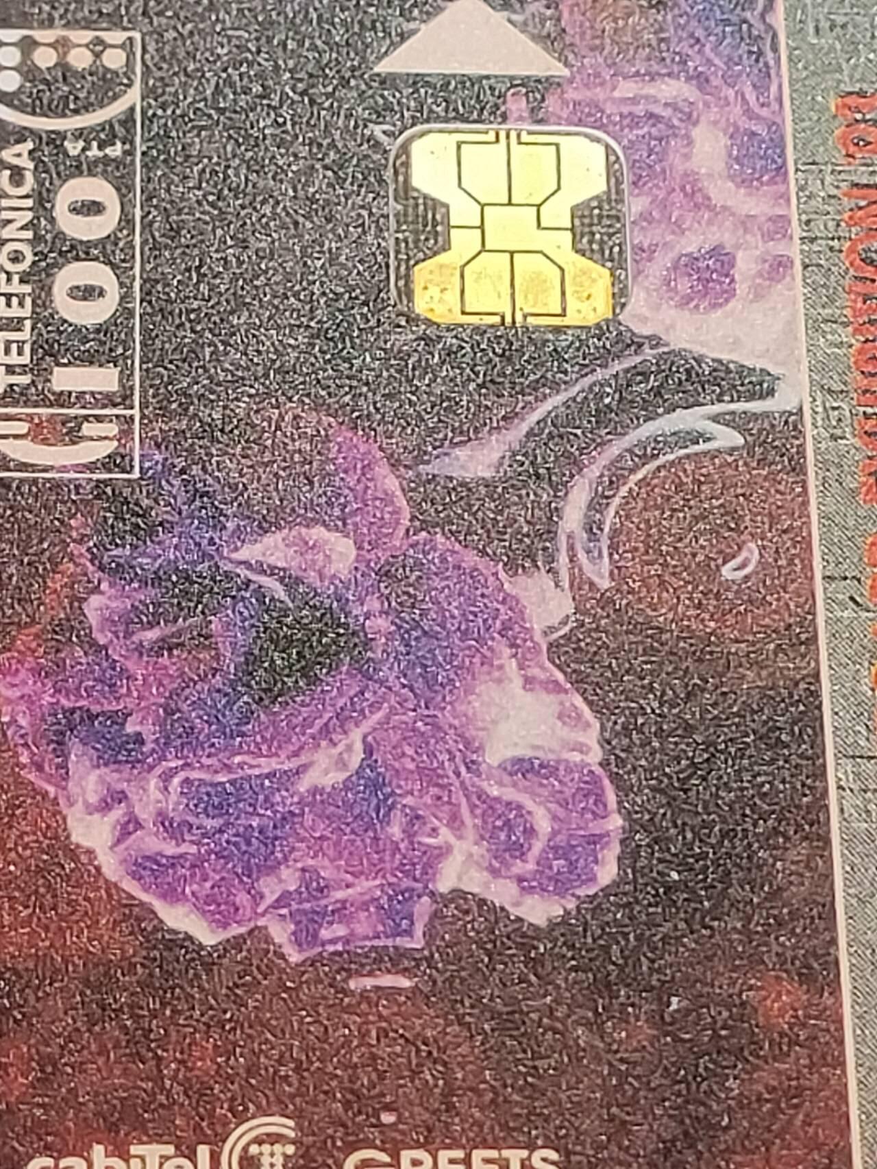 公藏第50期裸卡拍卖 西班牙IC卡（93香港电话巡回展）一全，芯片小小氧化。