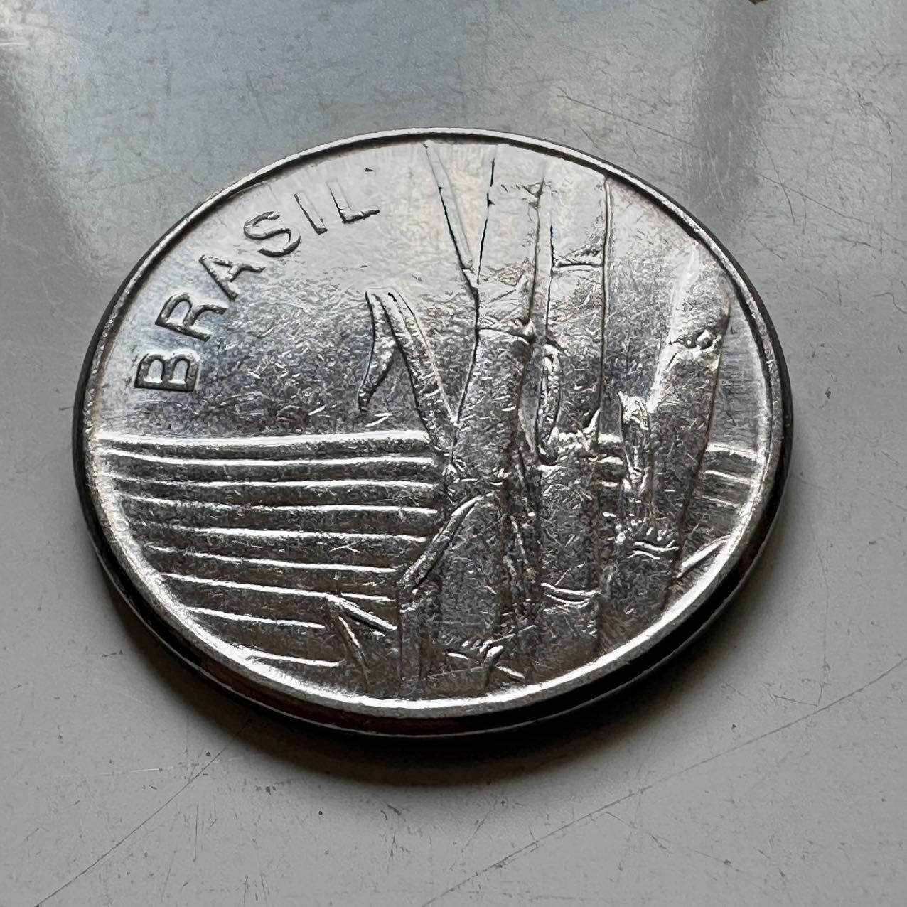 🌹外币初藏🌹🐯2025年第70场  每周二四六晚8️⃣点 接代拍 巴西1980年一克鲁塞罗