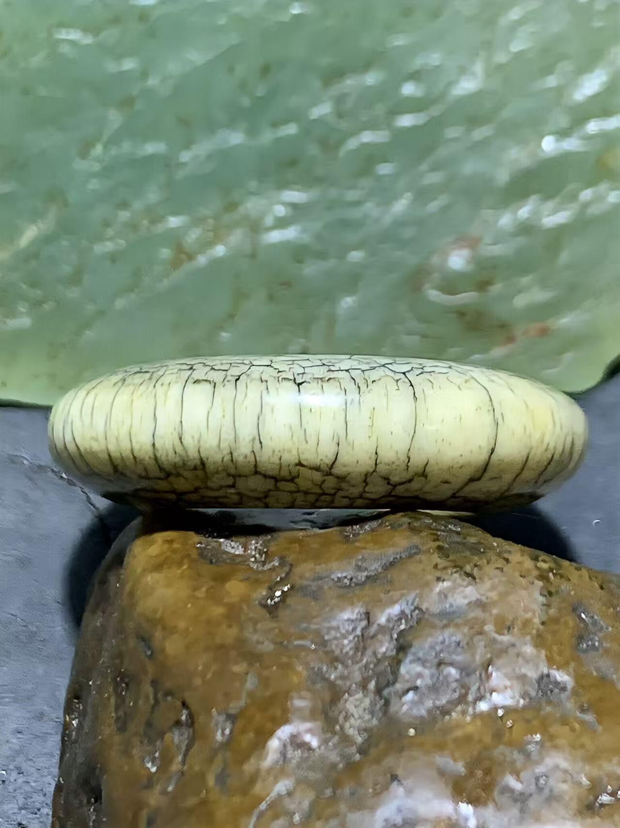 精美骨圈戒指，（跑环，卡环）一个！