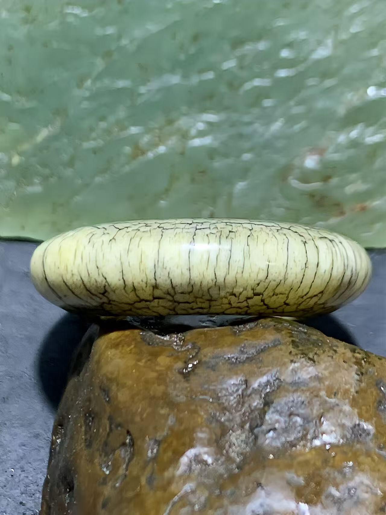 精美骨圈戒指，（跑环，卡环）一个！