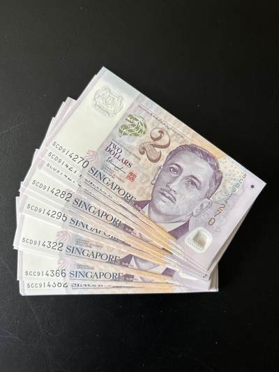 全新刀拆新加坡2元塑料钞尚达曼签名，标价为单张，号码随机 - 全新刀拆新加坡2元塑料钞尚达曼签名，标价为单张，号码随机