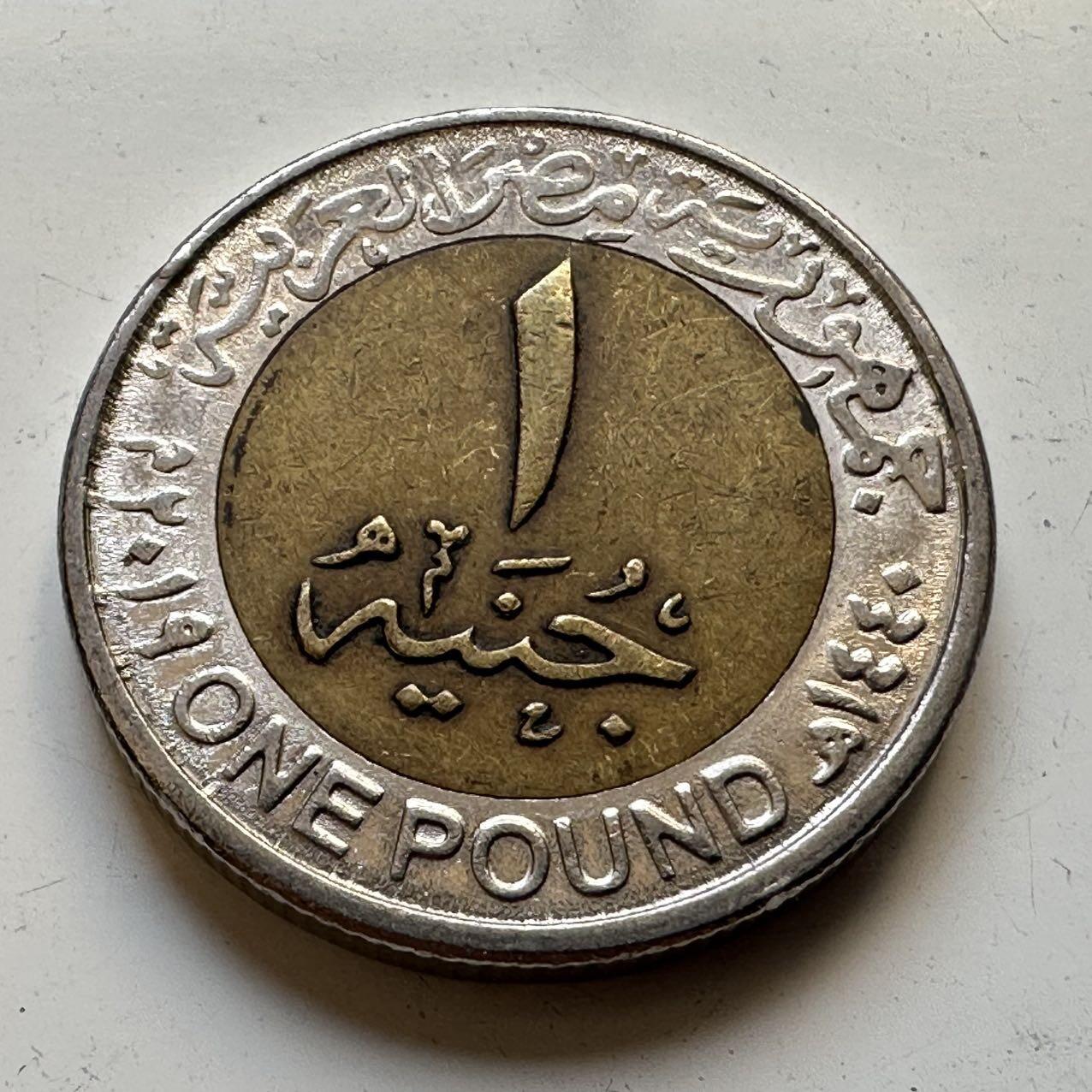 🌹外币初藏🌹🐯2025年第70场  每周二四六晚8️⃣点 接代拍 埃及2019年一镑纪念币d