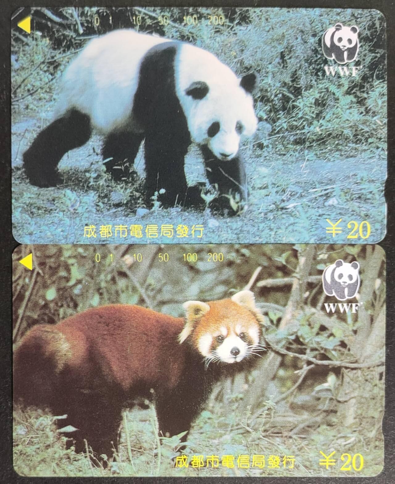 公藏第50期裸卡拍卖 四川田村卡（大，小熊猫）2全品相钢印码见描述。