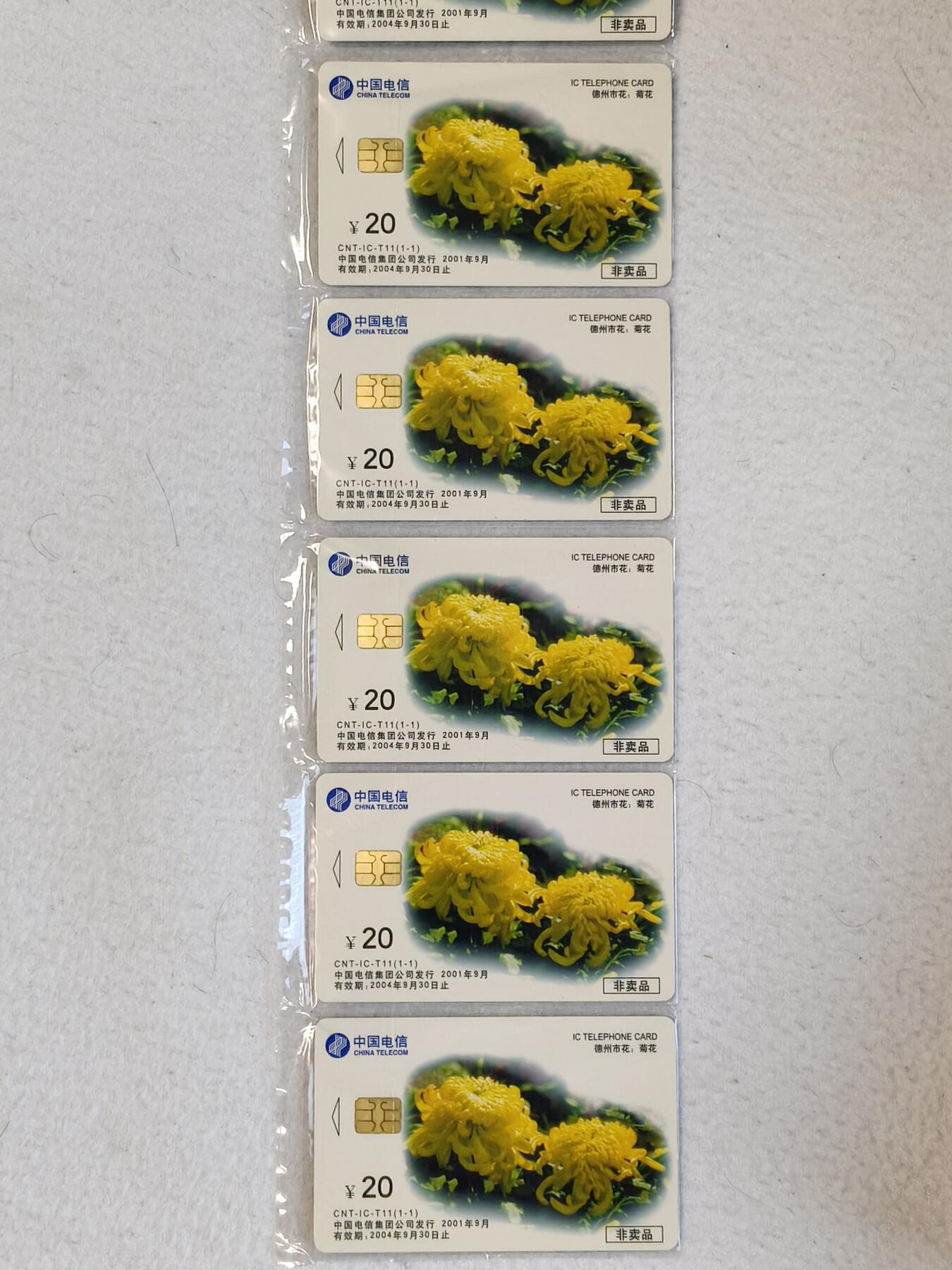 易卡拍卖第23期 IC—T11菊花5套连。同拍。（DZ电总版）原封套，全新卡，收藏级品相。品相如图所示！