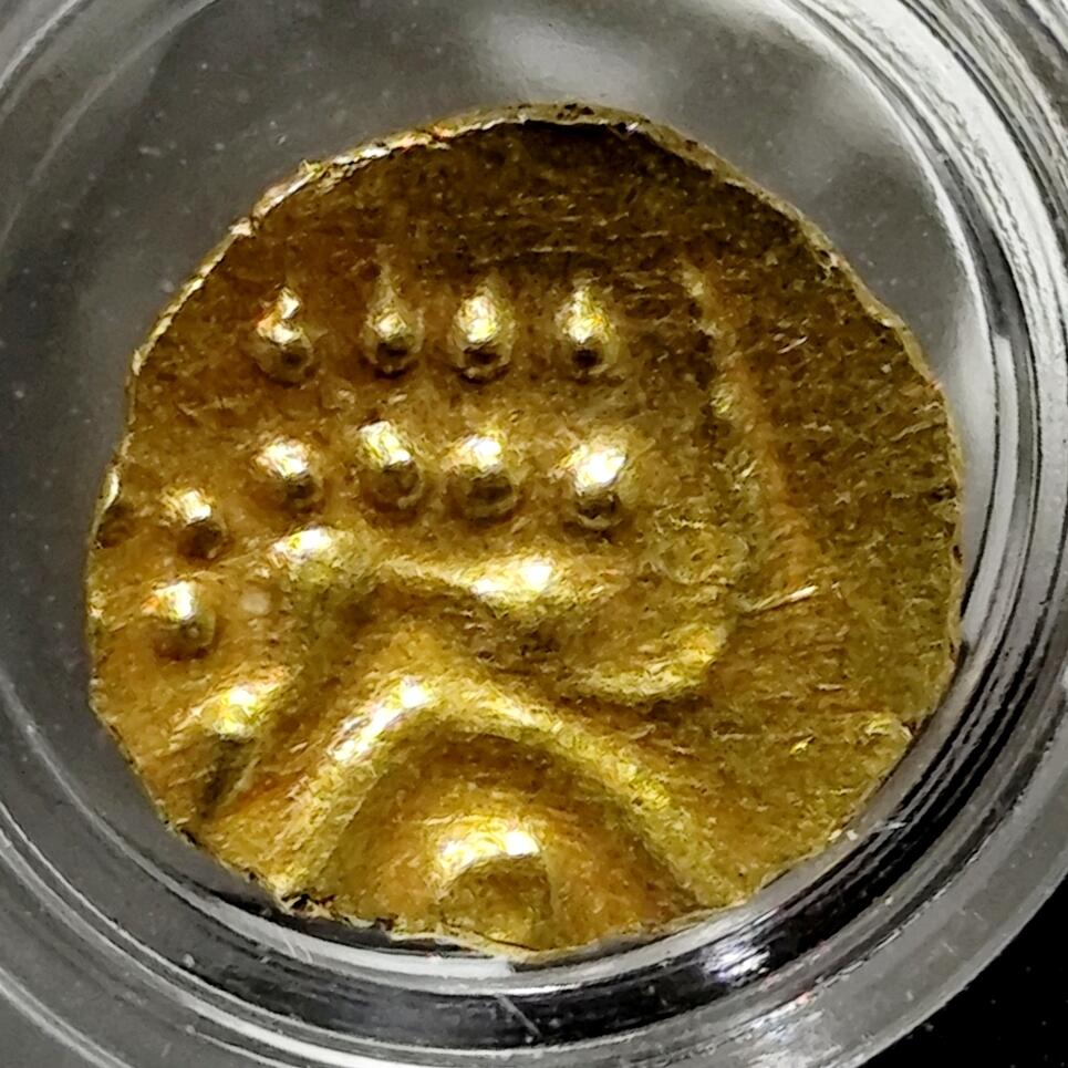 希腊罗马丝路打制币化石【中外钱币放漏】专场！陆小鱼的钱币仓，限时拍卖第068场 MS极美品小金币 图案化野猪金币/图案化站狮
