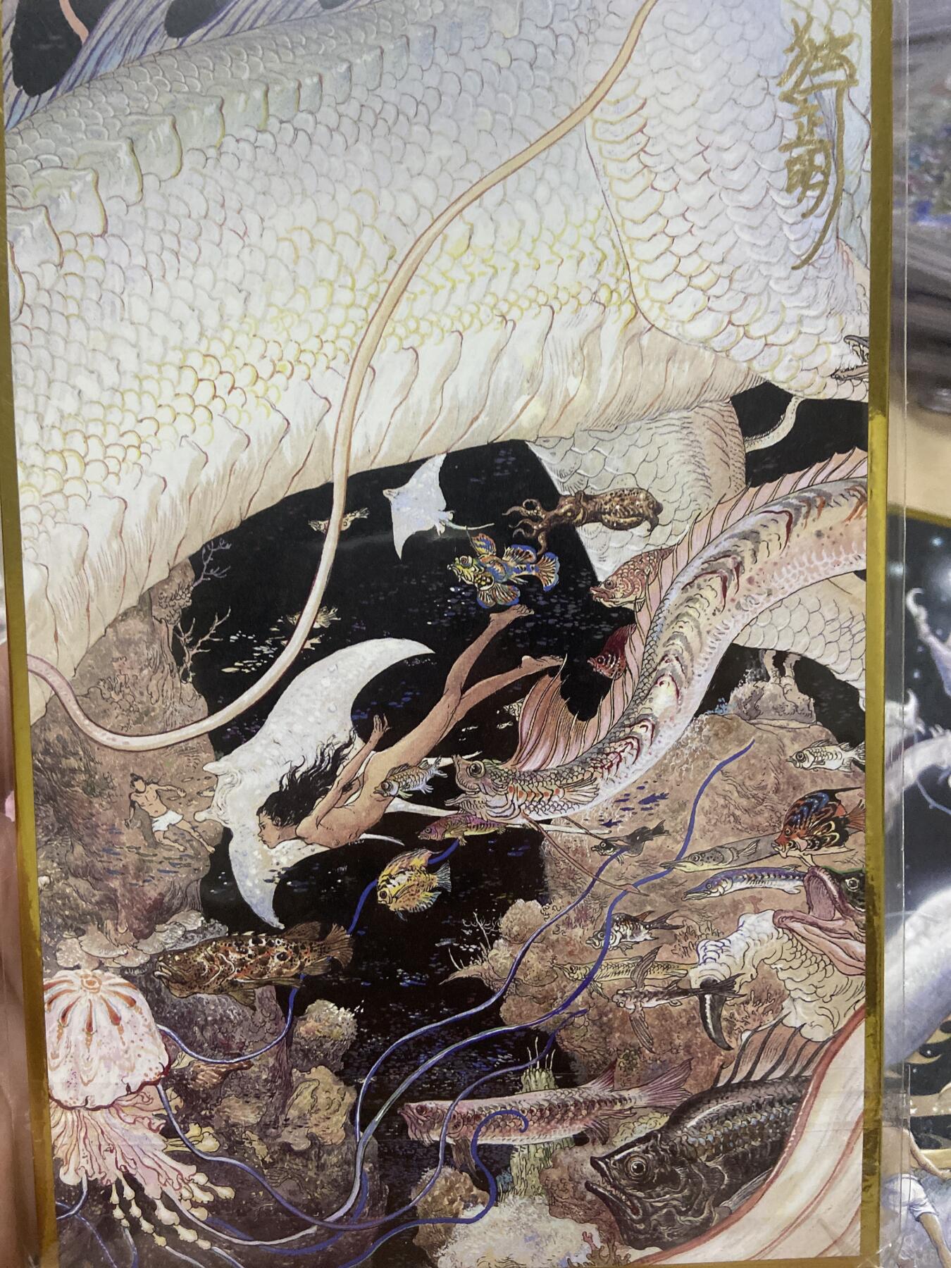 阳大大卡牌超级大甩拍第60期（周五晚上九点截拍，持续收拍品，进群福利早知道） 【亲签色纸】 独行正明 