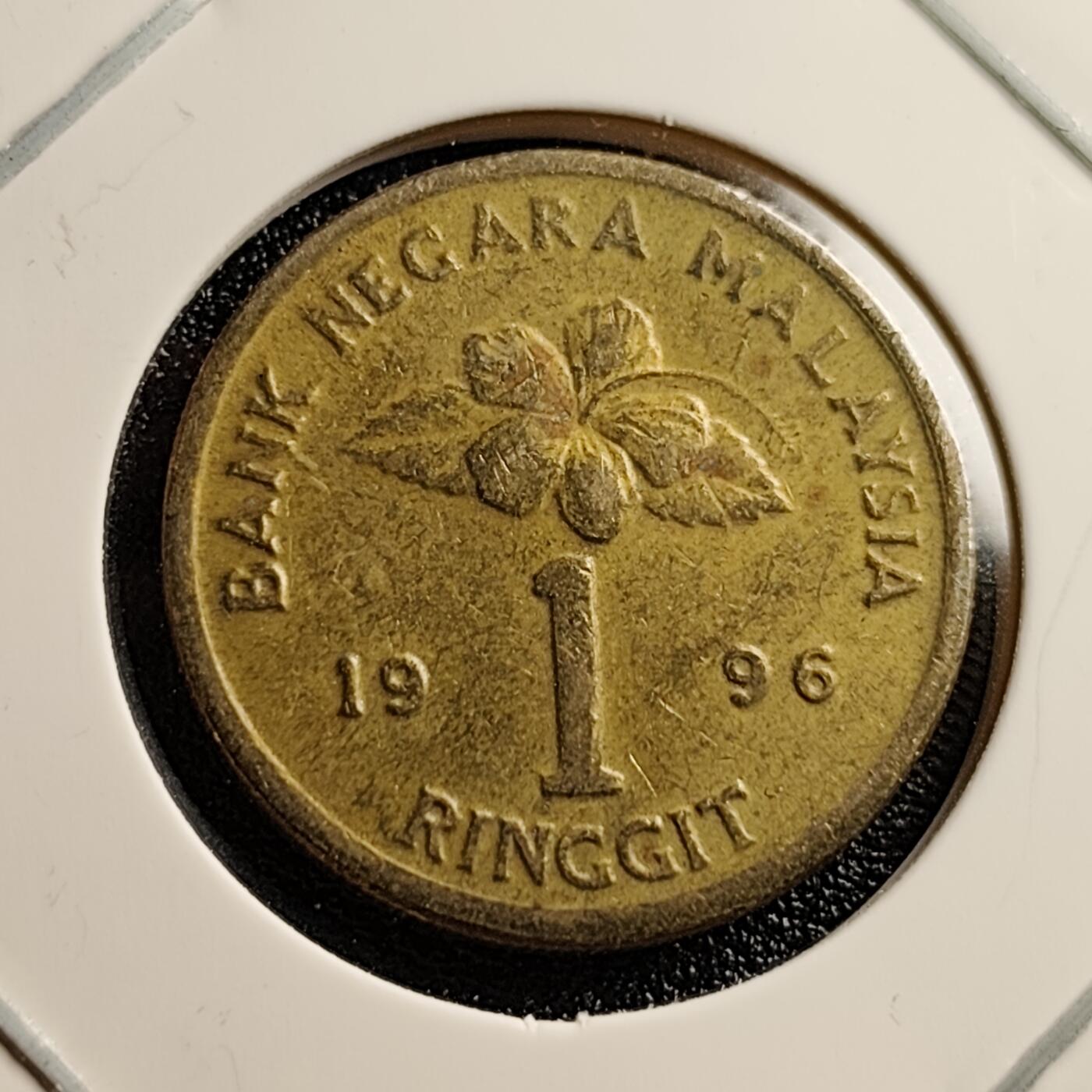 泉币菌-第46场-周末福利场