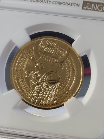 获奖奥地利2019年黄金魔力系列1美索不达米亚1/2盎司金币NGC-PF70