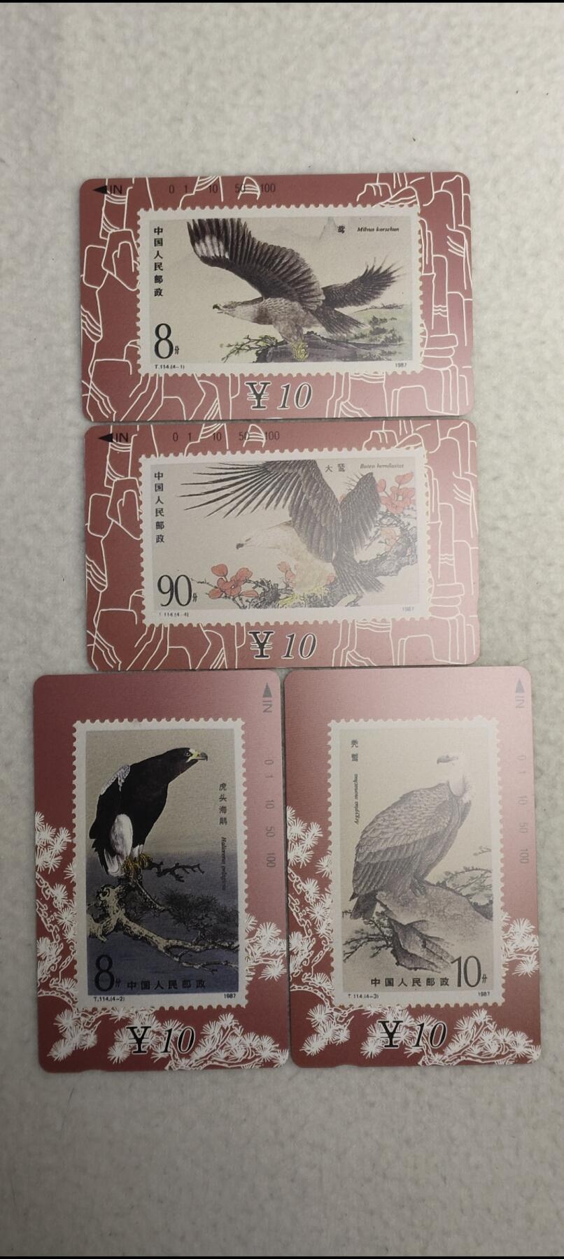 易卡拍卖第24期 甘肃猛禽。易卡五星⭐️标。如图所示！