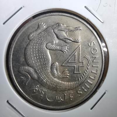 沼泽如烟--第770场 - 冈比亚1966年4先令