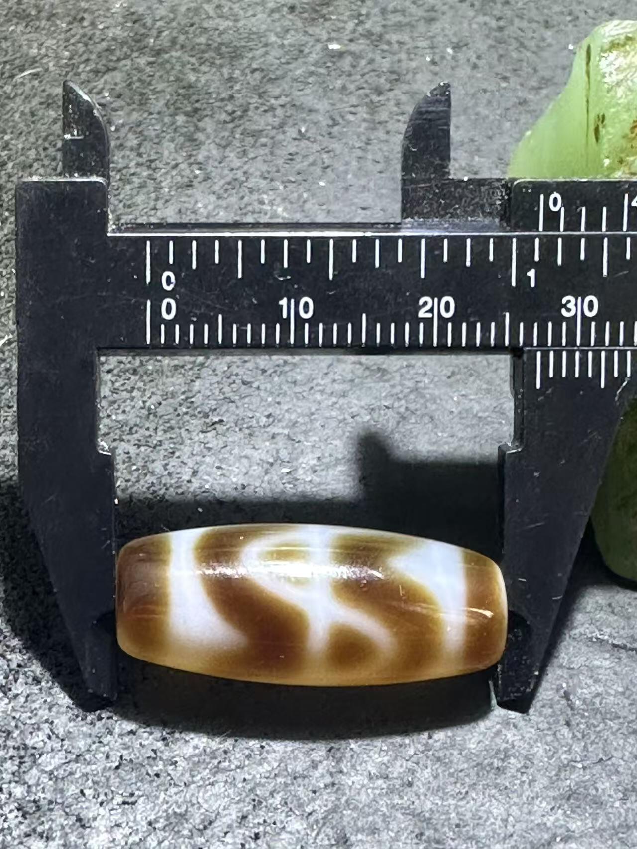 仅此一颗，藏传六瓣莲花虎牙随形天珠一颗