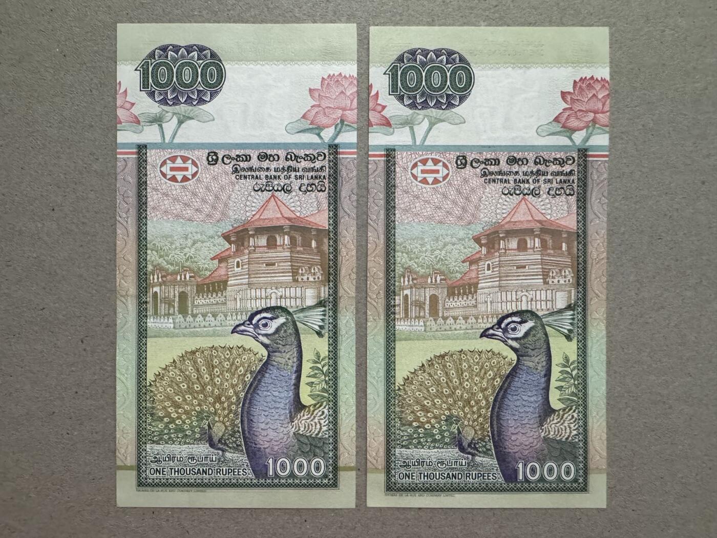 #本期统一周四发货！#🐍甜小邱世界纸币收藏🐍第133期精品场💐